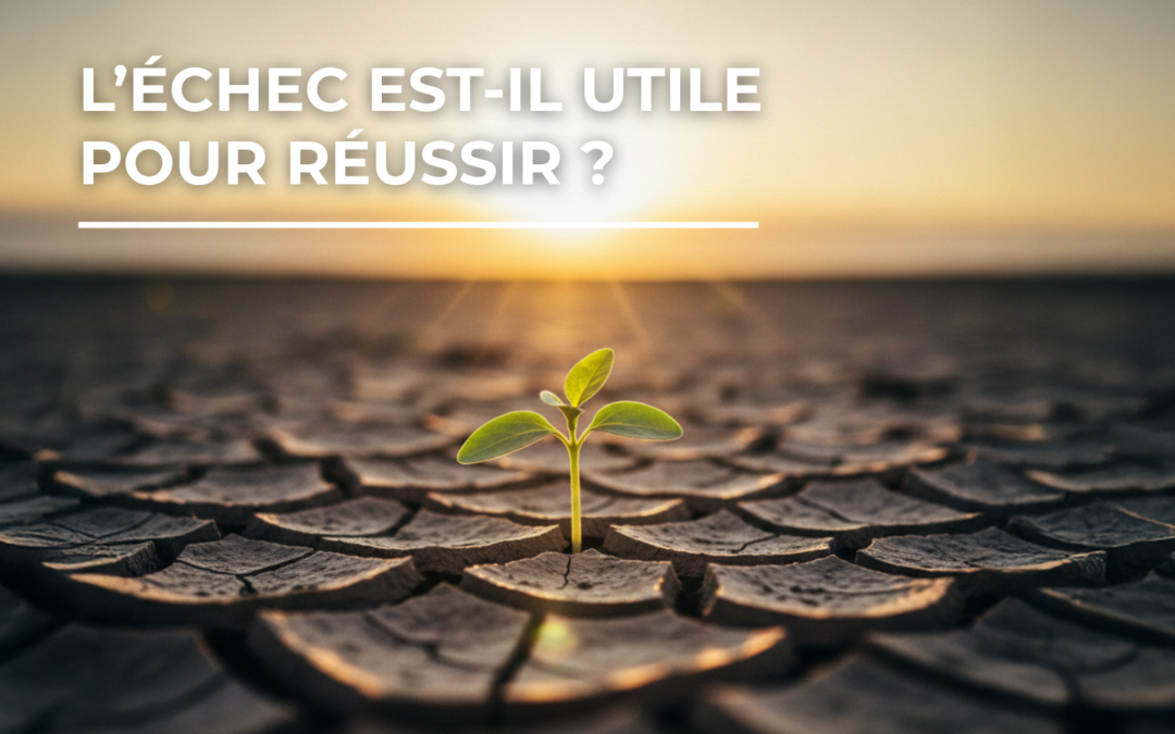 Jeune pousse en plein millieu d'une terre aride.